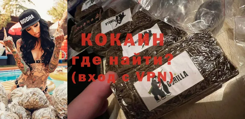 Cocaine Fish Scale  MEGA tor  Пудож  закладка 