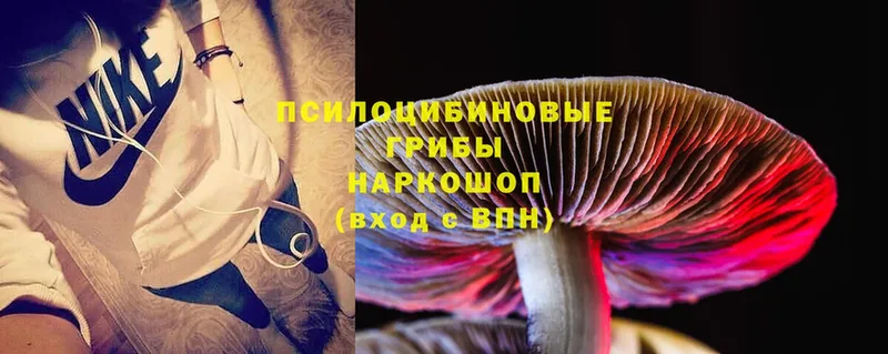 Псилоцибиновые грибы MAGIC MUSHROOMS  Пудож 